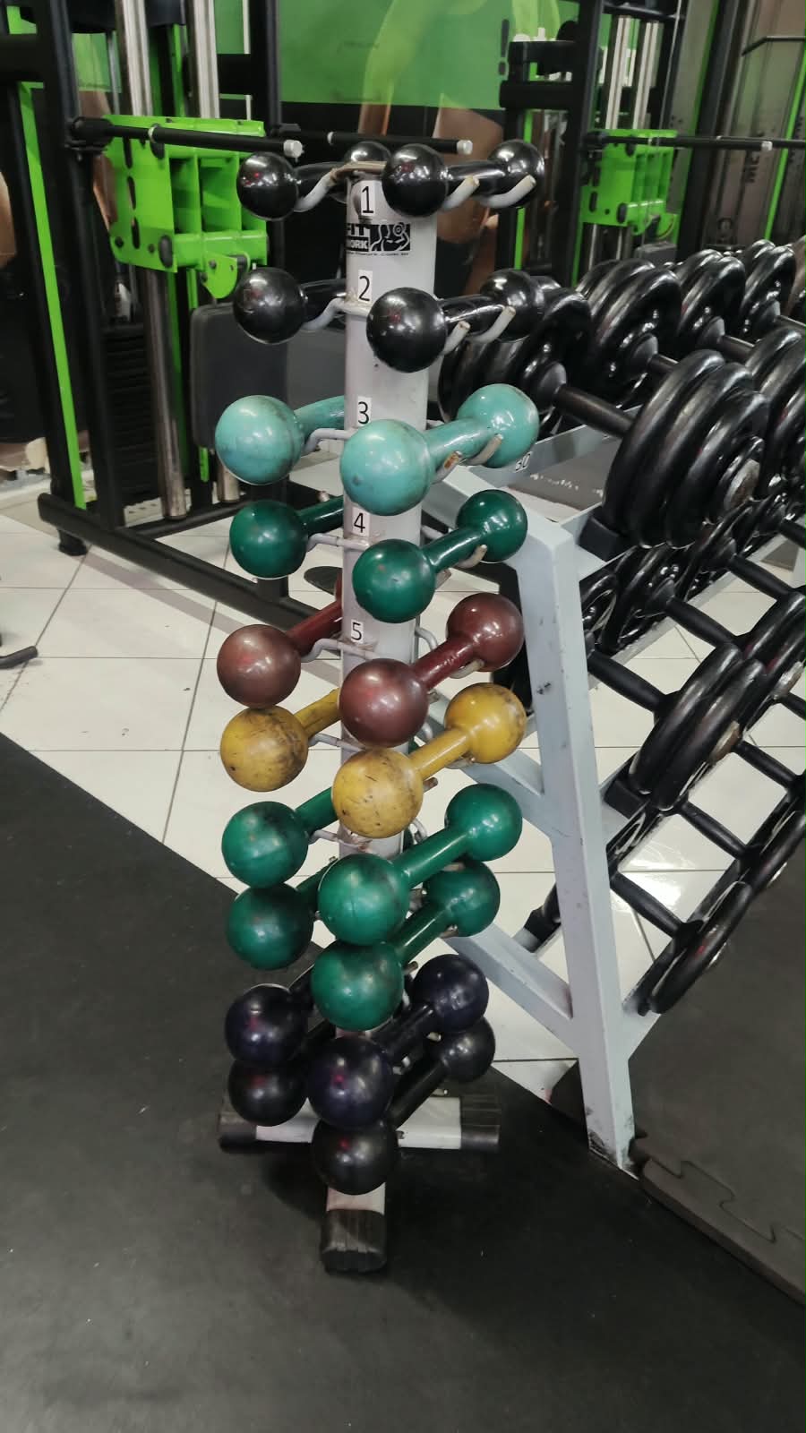 JOGOS DE HALTERES DO 1 AO 10 KG 01