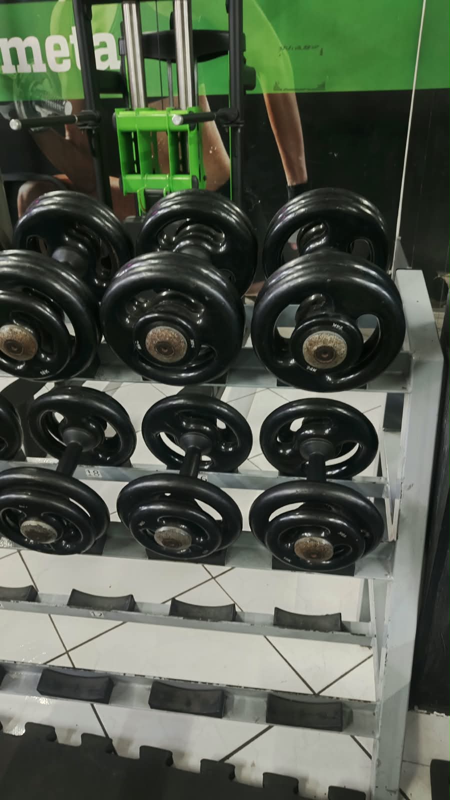 JOGOS DE DUMBELS DO 12 AO 30 KG 01